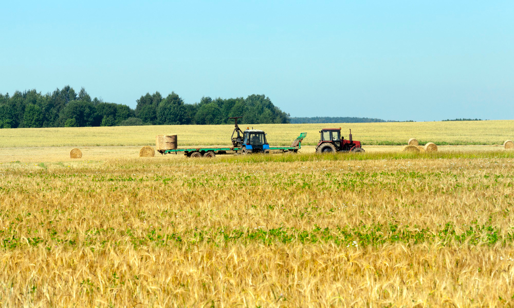 ceny-nawozow-azotowych-jak-sie-obecnie-ksztaltuja-wyjasniamy-co-na-nie-wplywa